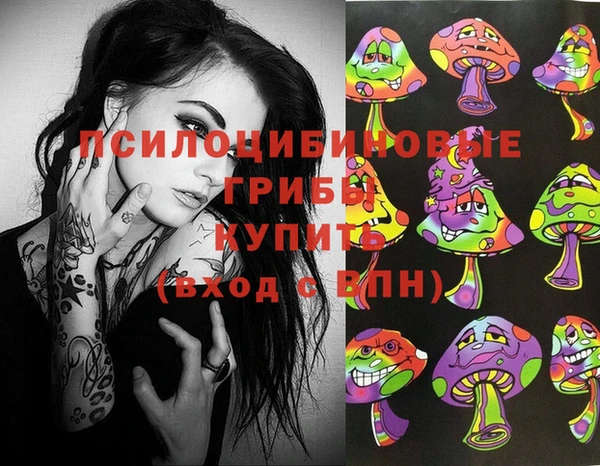 2c-b Алзамай