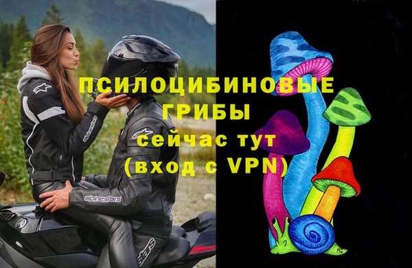 дурь Алексеевка
