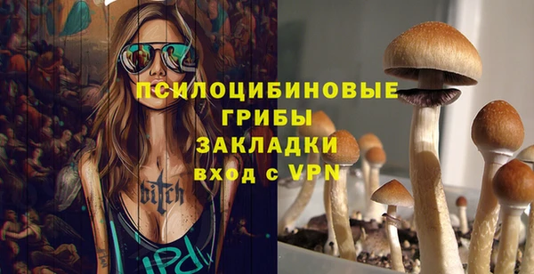 ГАЛЛЮЦИНОГЕННЫЕ ГРИБЫ Алексин