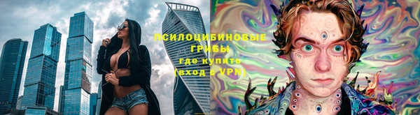 ГАЛЛЮЦИНОГЕННЫЕ ГРИБЫ Алексин